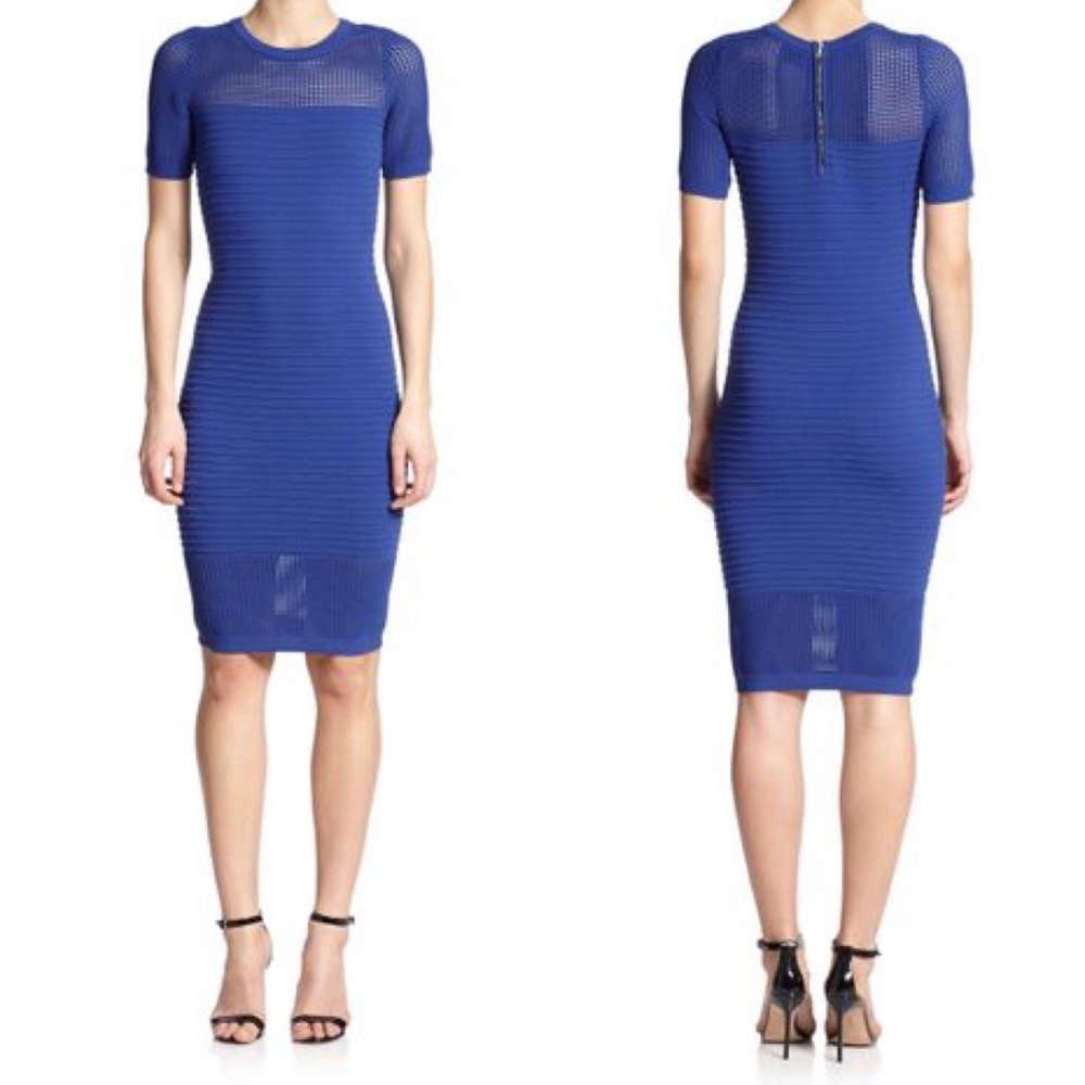 Milly Engineered Mesh Sheath Dress - sz M